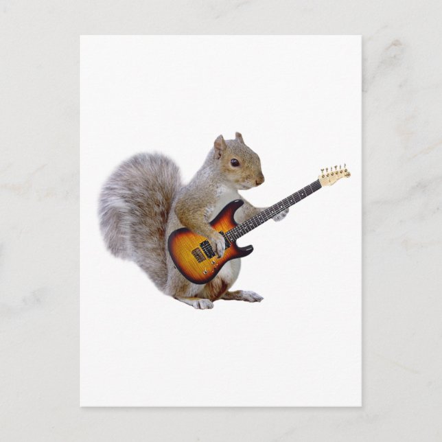 Cartão Postal Guitarra de Esquilo (Frente)