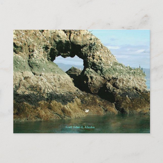 Cartão Postal Gull Island, Alaska (Frente)