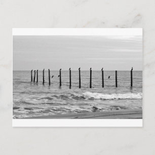 Cartão Postal guloseimas na praia