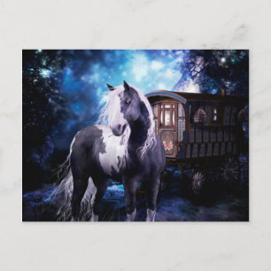 Cartão Postal Gypsy Vanner Dreams