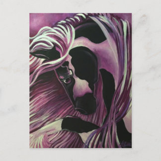 CARTÃO POSTAL GYPSY VANNER HORSE