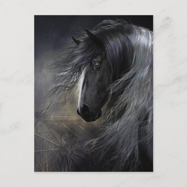 Cartão Postal Gypsy Vanner Retrato (Frente)