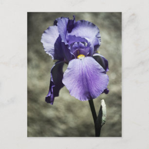 Cartão Postal Há um Cartão-postal de beleza