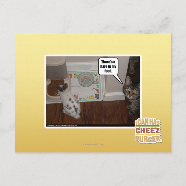 Cartão Postal Há uma lebre na minha comida. (Frente)