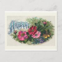 "Habana Cigar Box Label"