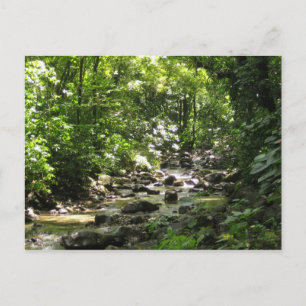 Cartão Postal Habitação Céron 1 - Martinica, F.W.I.