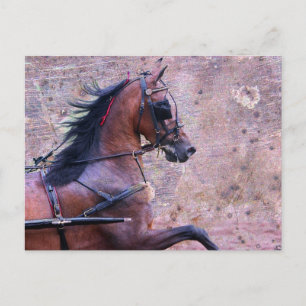 Cartão Postal Hackney Grunge