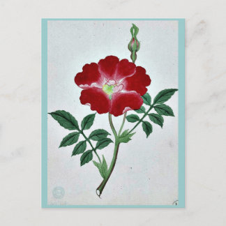 Cartão Postal Hai kai kuwa - Março-Abril Ukiyo-e.
