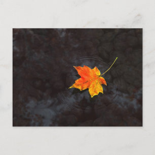 Cartão postal Haiku