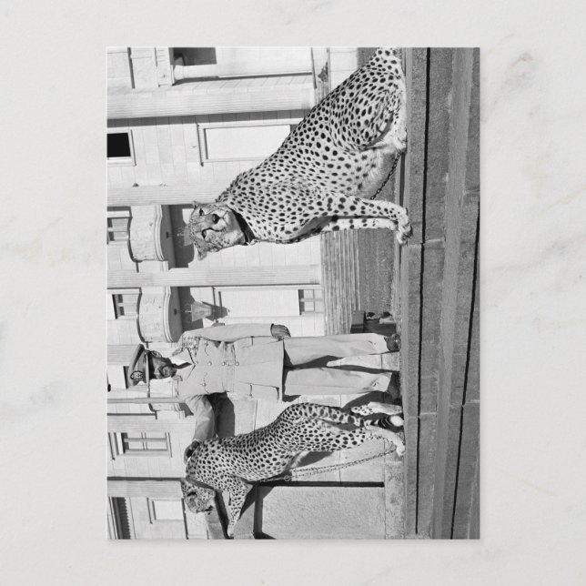 Cartão Postal Haile Selassie - HIM - Rastafari - Cartão-postal (Frente)