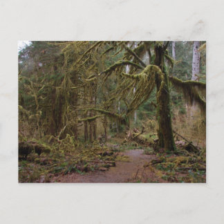 Cartão Postal Hall of Mosses