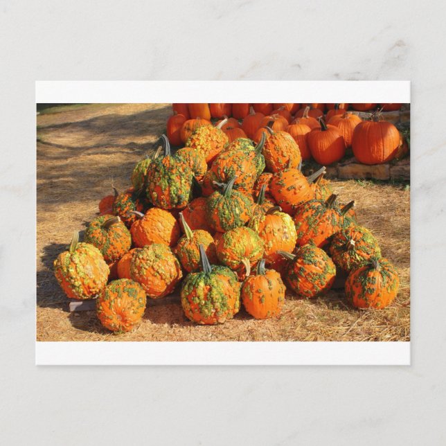 Cartão Postal Halloween (Frente)