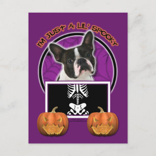 Cartão Postal Halloween - Apenas um mauzinho - Boston Terrier