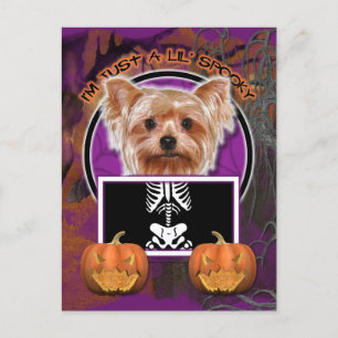 Cartão Postal Halloween - Apenas um mauzinho - Yorkie