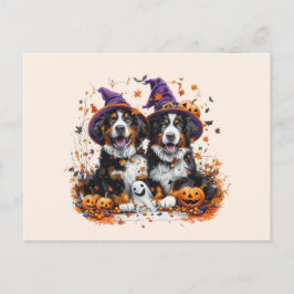 Cartão Postal Halloween Bernese Mountain Dogs Witch Ghost