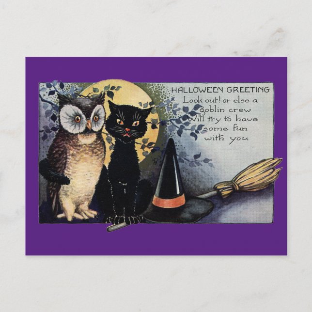 Cartão Postal Halloween Black Cat and Owl (Frente)