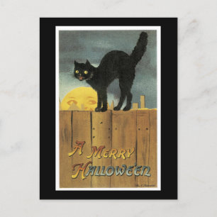 Cartão Postal Halloween Black Cat e Fullmoon