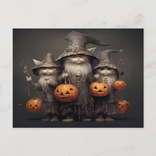 Cartão Postal Halloween Cat (Frente)
