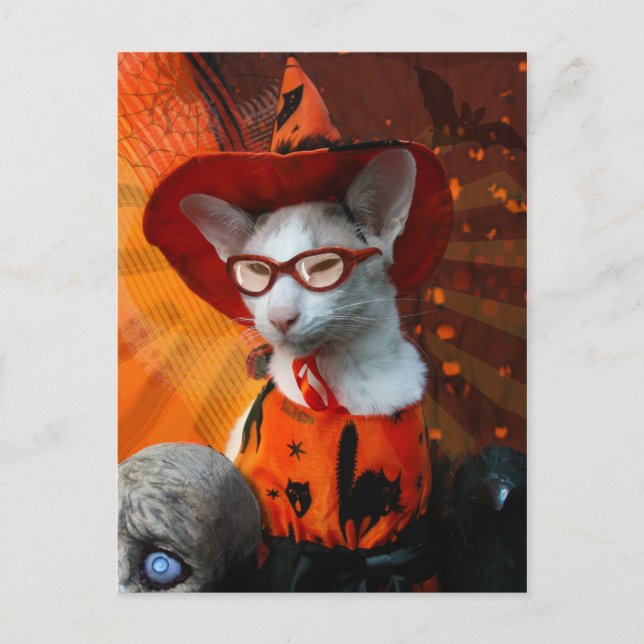 Cartão Postal Halloween Cat (Frente)