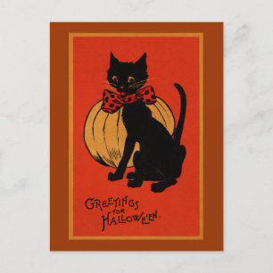 Cartão Postal Halloween Cat e Pumpkin