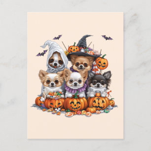 Cartão Postal Halloween Chihuahua Dogs