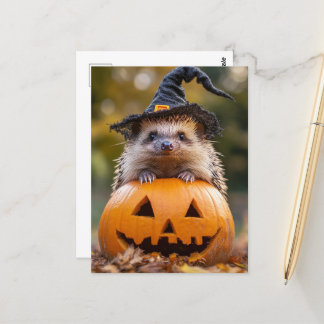 Cartão Postal Halloween Hedgehog Adorável