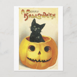 Cartão Postal Halloween Jack-o-lanterno antigo, gato negro