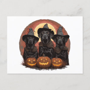 Cartão Postal Halloween Labrador Retriever Cachorros Bruxos