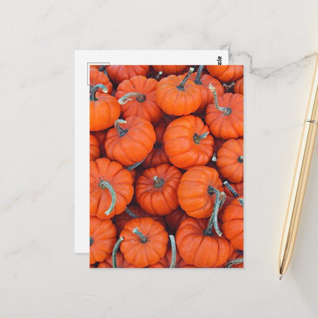 Cartão Postal Halloween Mini Pumpkin Fall Autumn Patterno (Frente/Verso In Situ)