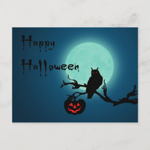 Cartão Postal Halloween Night Pumpkin Owl