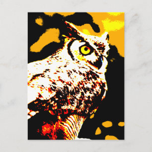 Cartão Postal Hallowe'en Owl