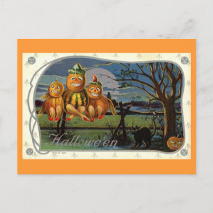 Cartão Postal Halloween Pumpkin Men Fantasy Vintage