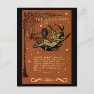 Cartão Postal Halloween Samhain Fairy Owl Spider Web