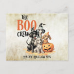 Cartão Postal Halloween Scary Boo Cães Tripulantes Laranja Pumpk<br><div class="desc">Cartão-postal de Boo-Cães Assustados do Halloween. Único,  bonito,  na moda design. Fácil de ser personalizado. O estilo,  o tamanho e as cores da fonte podem ser alterados. Itens correspondentes estão disponíveis.</div>