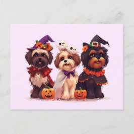 Cartão Postal Halloween Shih Tzu Dogs