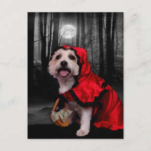 Cartão Postal Halloween - Westie - Lady
