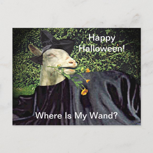 Cartão Postal Halloween Wizard Goat (Frente)