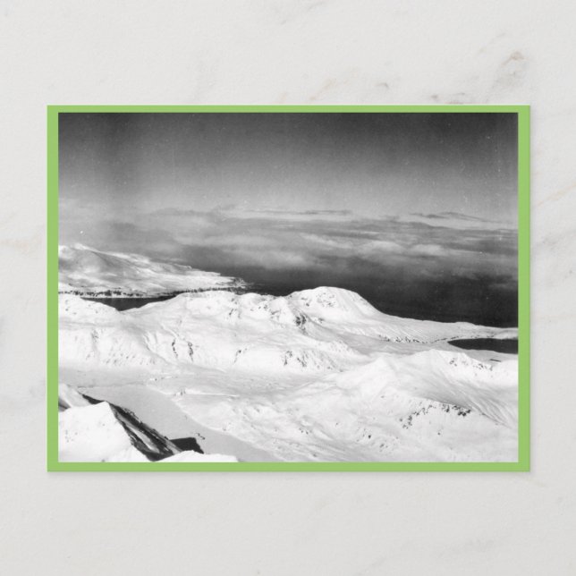 Cartão Postal Halter Collection (Frente)