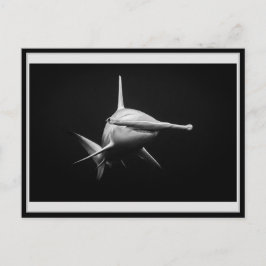 Cartão Postal Hammer head shark BW 002 Carte postale ハンマーヘッド