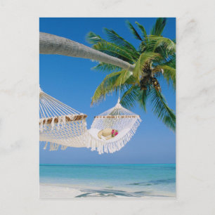 Cartão Postal Hammock das férias do paraíso da praia