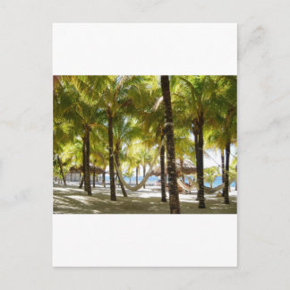 Cartão Postal Hammock e Palm Trees
