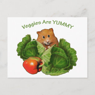 Cartão Postal Hamster Bonito: Vegogias São Iumãs: Saúde, Nutriçã