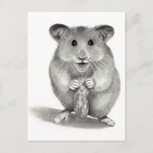 CARTÃO POSTAL HAMSTER COM PEANUT, LÁPIS ARTE