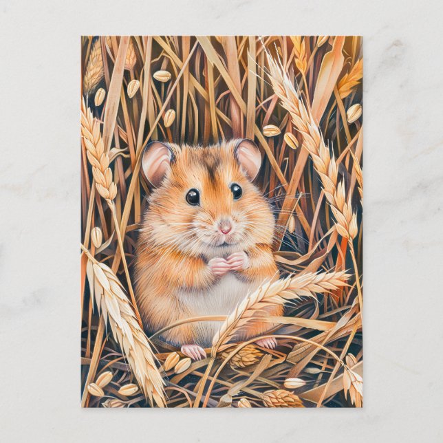 Cartão Postal Hamster de Campo no Grain Ouro (Frente)