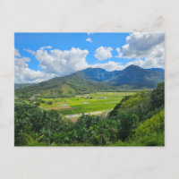 Hanalei Valley Lookout