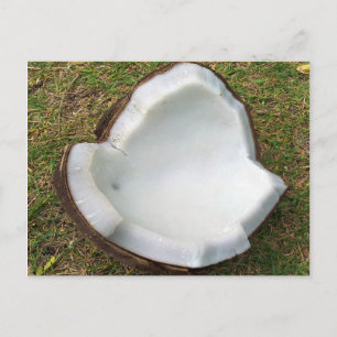 Cartão Postal Hanauma Bay Hawaii Coconut