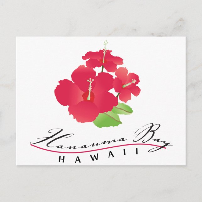 Cartão Postal Hanauma Bay Hawaii - Flor Red Hibiscus (Frente)