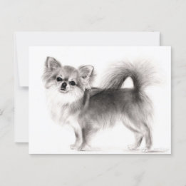 Cartão Postal Hand Drawn Chihuahua