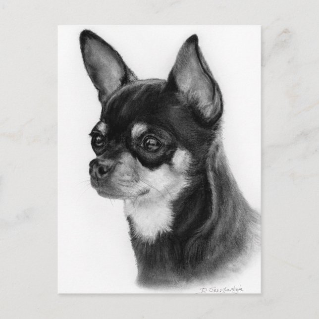 Cartão Postal Hand Drawn Chihuahua Head Study (Frente)