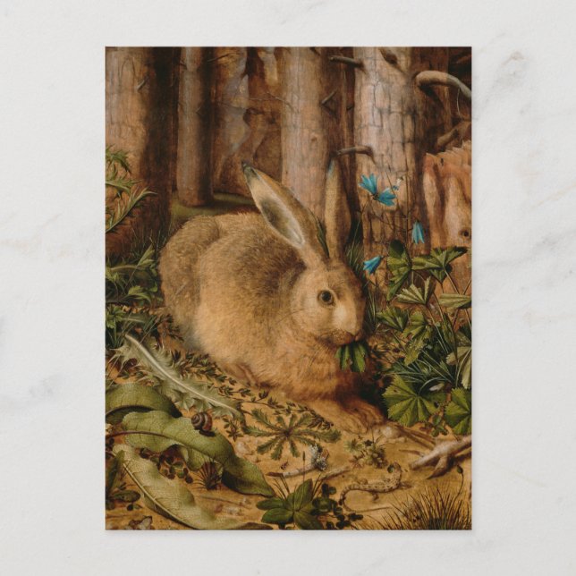 Cartão Postal Hans Hoffmann A Hare In The Forest (Frente)